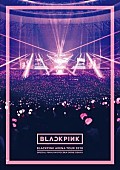 「BLACKPINK、3月22日発売のLIVE DVD &amp;amp; Blu-rayのジャケット写真とトレーラー映像を公開」1枚目/1