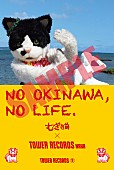 「むぎ（猫）の特番が生配信＆「NO OKINAWA, NO LIFE.」ポスターに登場」1枚目/3