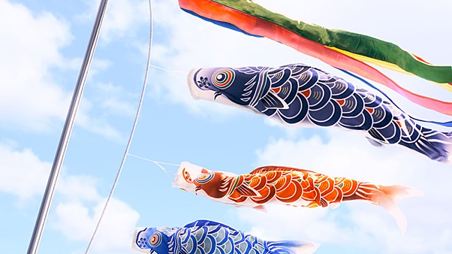 「（C）2019 San-X Co., Ltd. All Rights Reserved.」8枚目/9