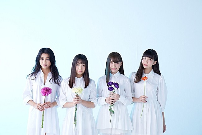 「9nine、活動休止前ラストライブBDリリース＆WIZY限定版発売決定」1枚目/4