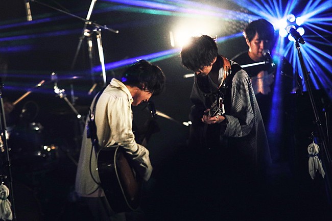 「さくらしめじ」10枚目/14