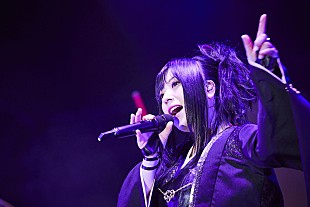 「和楽器バンド、出雲大社で平成最後のワンマンライブ」