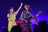 「BONNIE PINK」39枚目/62
