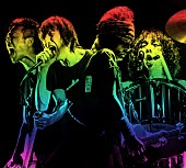 「ザ・クロマニヨンズの全国ツアー、遂にファイナル＆約4年振りのライブ映像発売決定」1枚目/4