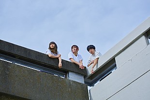 「MINT mate box、恒例の夏企画ライブのゲストにthe quiet roomが出演決定」