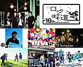 「スピッツ【ロックのほそ道】にフラカン、秦基博、クリープ、sumikaら」1枚目/1