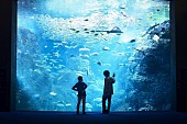 「米津玄師＆原作・五十嵐大介、映画『海獣の子供』の公開を記念し対談」1枚目/1