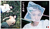 「銀杏BOYZの新SG「いちごの唄」限定リリース、映画の本編使用した特別映像も」1枚目/3