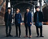 「Official髭男dism、新曲「宿命」MVティザー映像＆新ビジュアル画像を解禁」1枚目/1