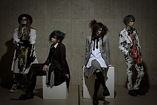 「DEZERT、年末恒例特別ワンマン【くるくるまわる-2019-】開催決定」