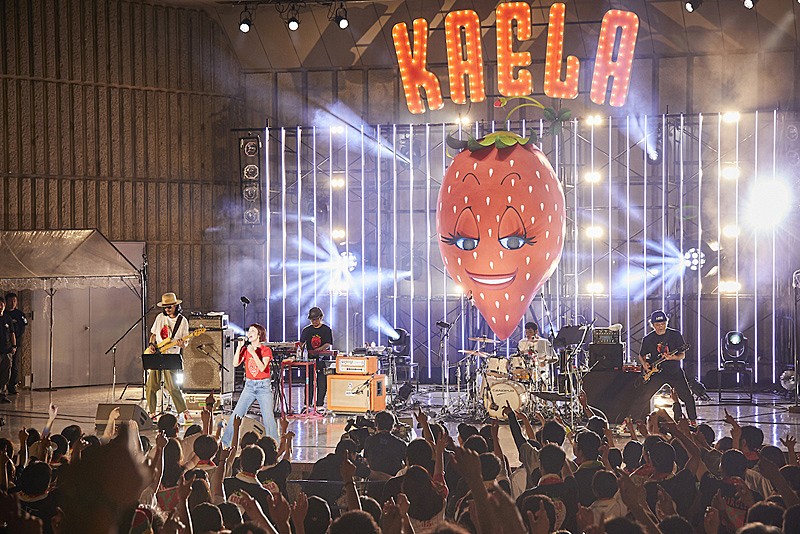 「カメラマン：太田好治、立脇卓」3枚目/4