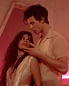 「ショーン・メンデス＆カミラ・カベロ、コラボ曲「セニョリータ」MVメイキング映像公開」1枚目/2