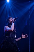 「Aimer、アジアツアーが閉幕＆次の全国ツアーが決定」1枚目/10