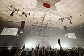 「2019年7月4日（木）日本武道館 Day2」17枚目/30