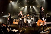 「THE BAWDIES、アニヴァーサリーを超えて進んでいくバンドの思いがあったツアー東京公演」1枚目/1