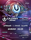 「【ULTRA JAPAN】第1弾でアフロジャック、スティーヴ・アオキら発表」1枚目/3