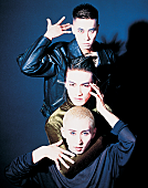 「SOFT BALLETがデビュー30周年記念の再発企画を開始、オリジナル・アルバムを初アナログ化」1枚目/1