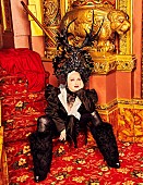 「シンディ・ローパー、4年ぶり来日ツアーの東京追加公演決定」1枚目/1