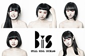 「BiSが前代未聞の“全編モザイク”MV解禁、音源をDropboxで期間限定無料公開」1枚目/1
