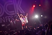 「【RIJF2019】Photo by ハブ」2枚目/3