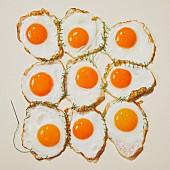 「GReeeeN、ニューアルバム『第九』“目玉焼きジャケット”公開」1枚目/4