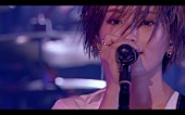 「山本彩、「Are you ready？」ライブ映像公開」1枚目/1
