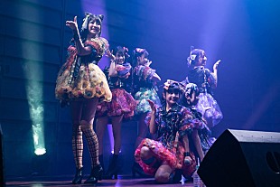 「マジカル・パンチライン、新衣装＆新曲をファン感謝ライブで初披露」