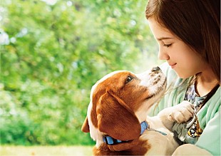 「愛犬家で作曲家のマーク・アイシャム、『僕のワンダフル・ジャーニー』劇中音楽を制作中、感極まって涙を流したことを明かす」