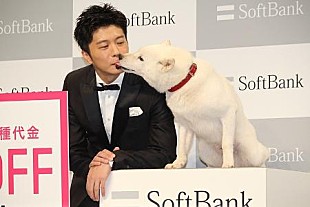 「田中圭、多忙も「心が元気なので全然平気」　「来年もワクワクしながら仕事に臨みたい」」