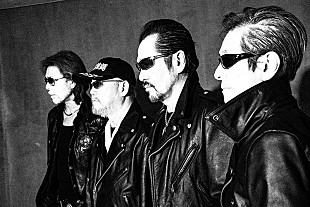 「横浜銀蝿がオリジナルメンバーで2020年復活、「男の勲章」MV公開」