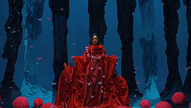 「Cocco新曲「海辺に咲くばらのお話」MV公開、監督＆衣装は20歳の大学生」1枚目/5