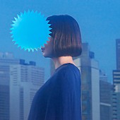 「土岐麻子、“100年後の世界の美の価値観”を思う「美しい顔」MV公開」1枚目/2