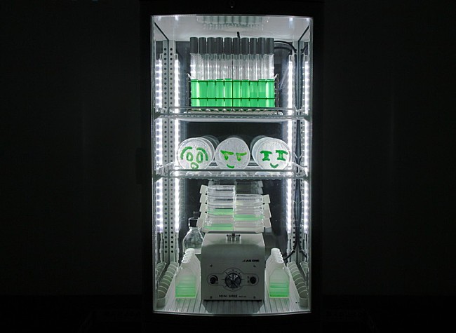 「やくしまるえつこ『わたしは人類』、森美術館＆金沢21世紀美術館でダブル展示」1枚目/6