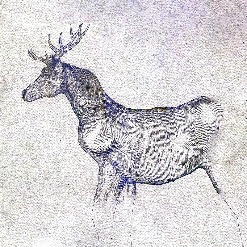 米津玄師、本日最終回の『ノーサイド・ゲーム』に自身が描いた『馬と鹿』ジャケット登場