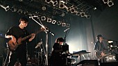 「くるり、石若駿との札幌でのライブ映像を公開」1枚目/1