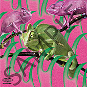 「オリジナルステッカー（Type.A）」3枚目/5