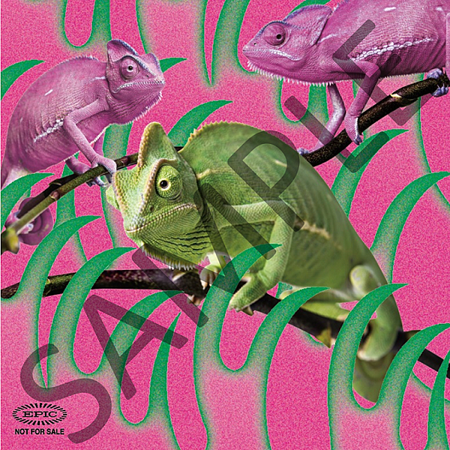 「オリジナルステッカー（Type.A）」3枚目/5