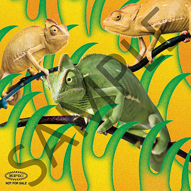 「オリジナルステッカー（Type.B）」4枚目/5