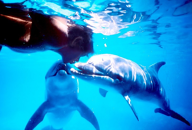 「『グラン・ブルー』のモデルとなった伝説のダイバーの生涯とは　映画 『ドルフィン・マン』先行試写会に5組10様ご招待」1枚目/12