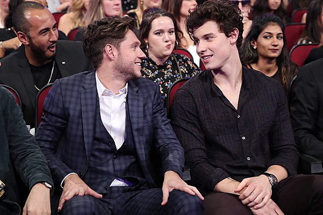 「ショーン・メンデス、親友ナイル・ホーランの新曲をカヴァー」1枚目/1