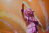 「＜ライブレポート＞【Desert Daze 2019】1日目、The Flaming Lips/注目のバンドPost Animal登場」1枚目/9