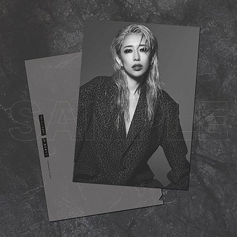 「クリアファイルA」4枚目/10