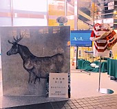 「西東京」4枚目/9