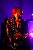 「浅井健一&amp;amp;THE INTERCHANGE KILLS、圧倒的だったツアーファイナル＆2020年のツアー発表」1枚目/5