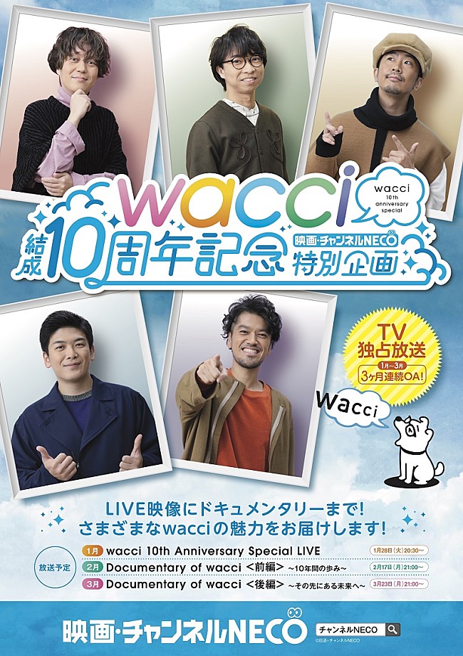 「wacci、チャンネルNECOにて『結成10周年記念特別企画』1/28放送スタート」1枚目/1