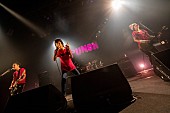 「＜ライブレポート＞ザ・クロマニヨンズ、常に最大瞬間風速な全国ツアー【PUNCH】の東京公演を開催」1枚目/6