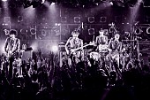 「THE BAWDIES、『Section #11』を引っ提げた全国ツアー開幕　＜ライブレポート＞」1枚目/7