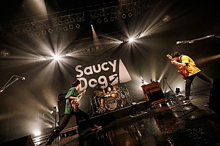 「＜ライブレポート＞Saucy Dog、ライブバンドとしての進化を見せた初のZeppTokyoワンマン」