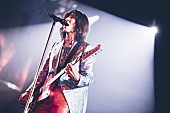 「THE YELLOW MONKEY、ドームツアー初日はまさに“30年間の集大成”」1枚目/6