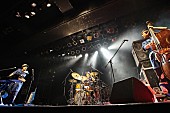 「H ZETTRIO、久々のライブハウスで2019年ラストライブ」1枚目/12